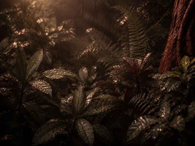 Rain falling through dense rainforest leaves.